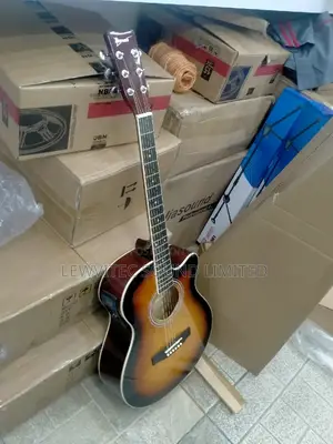Ibanez Semi Tuner Guitar