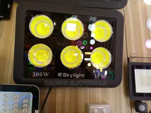 300wts Led Flood Lights