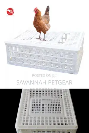 Chicken Chicks Transport Crates Rabbit Transport Crates