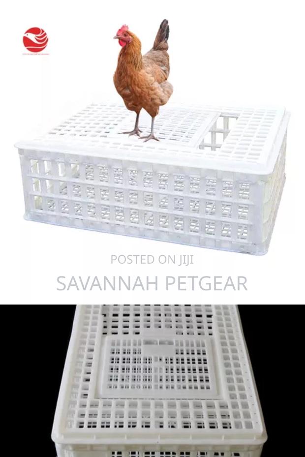 Chicken Chicks Transport Crates Rabbit Transport Crates