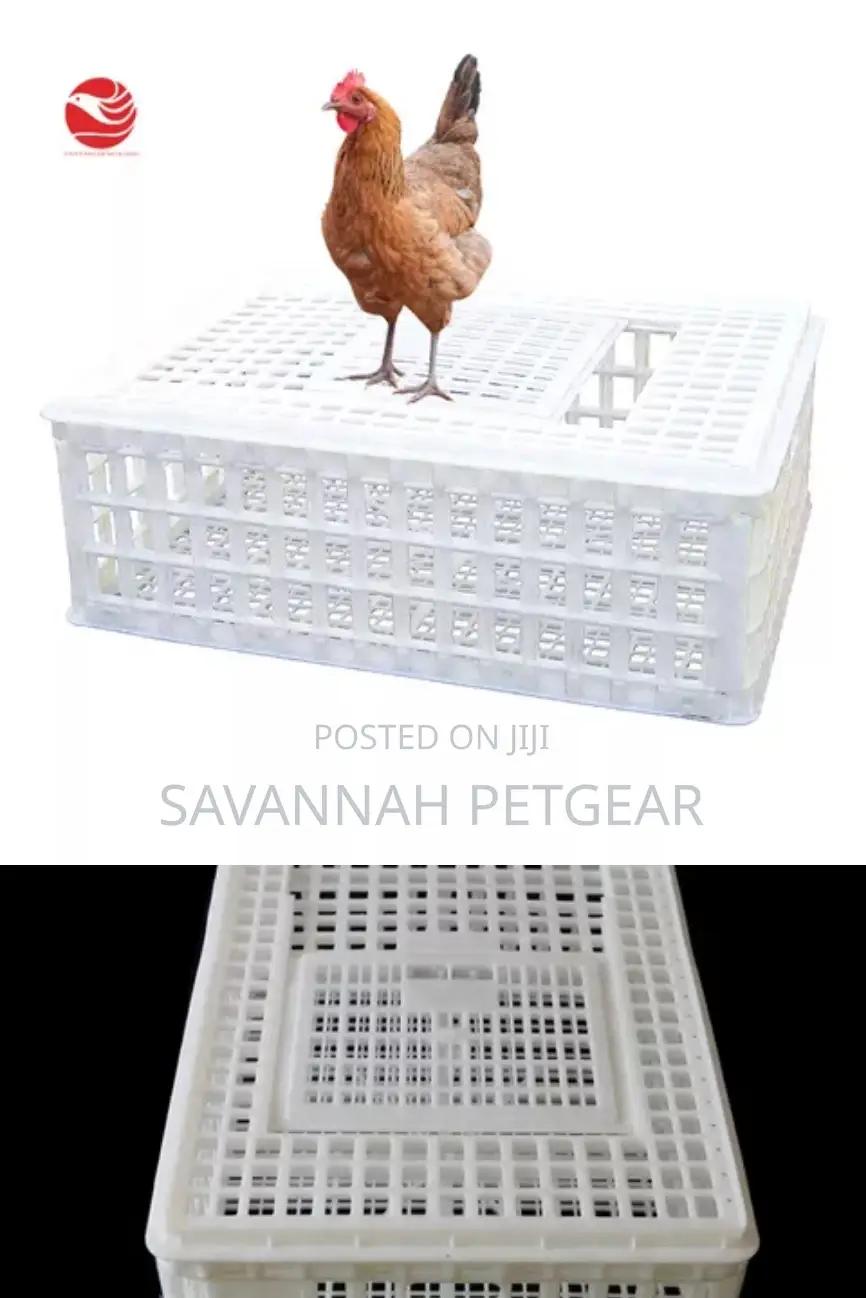 Chicken Chicks Transport Crates Rabbit Transport Crates