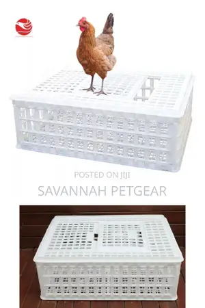 Chicken Chicks Transport Crates Rabbit Transport Crates