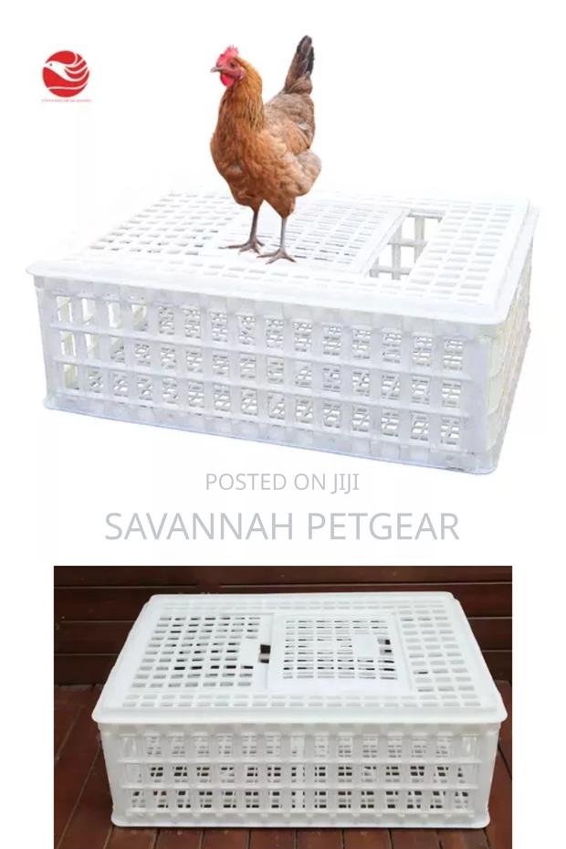 Chicken Chicks Transport Crates Rabbit Transport Crates - thumbnail 3