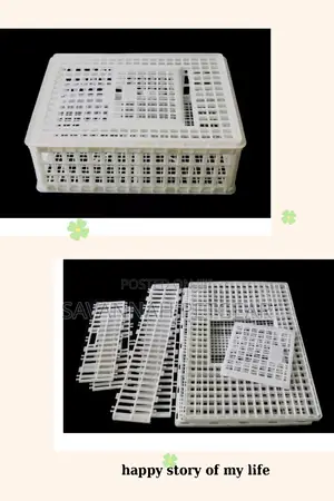 Chicken Chicks Transport Crates Rabbit Transport Crates