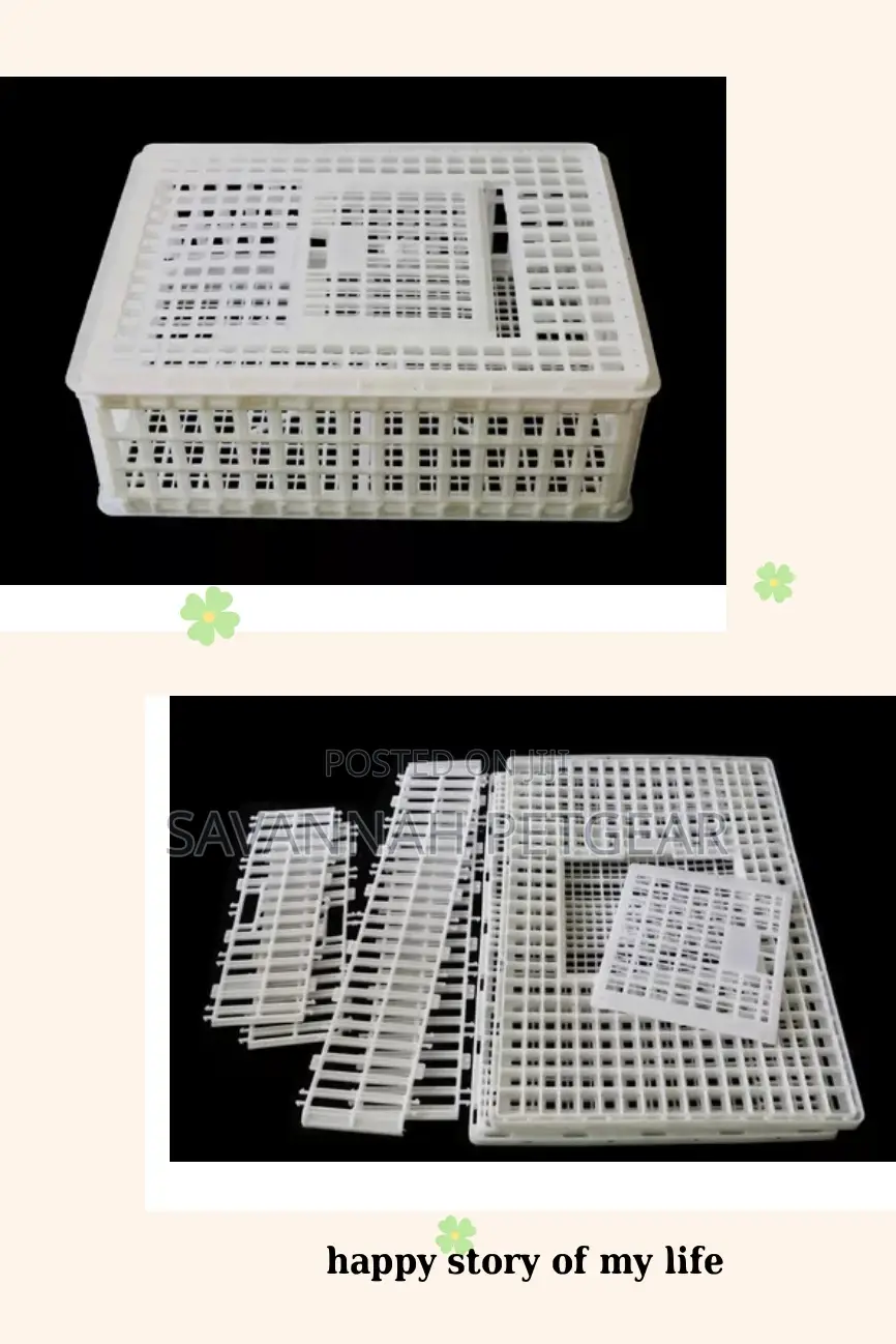 Chicken Chicks Transport Crates Rabbit Transport Crates