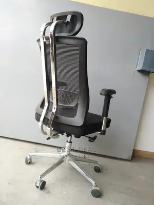 Ergonomic Mesh Chair