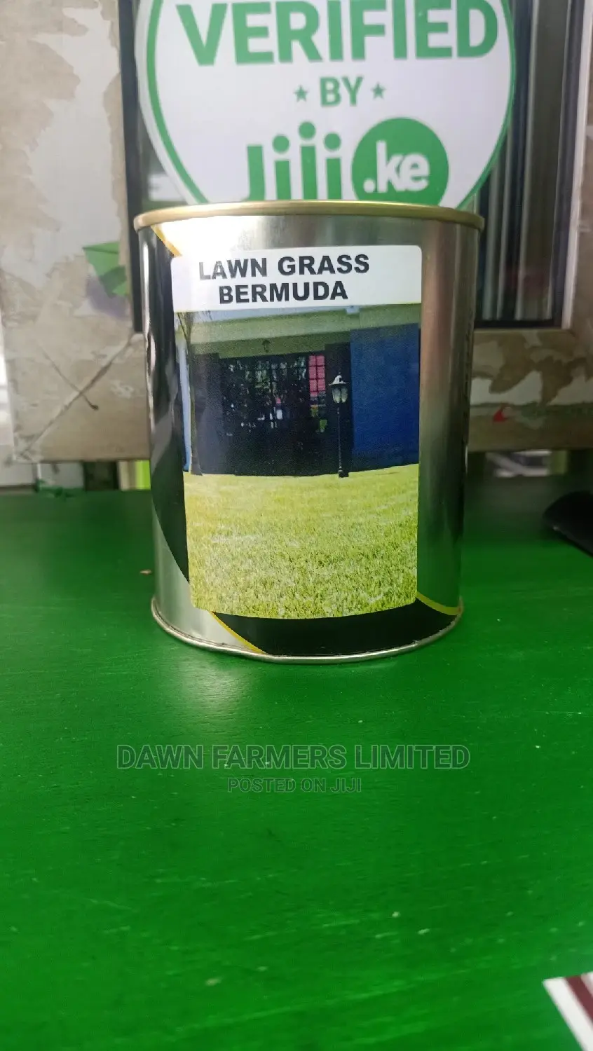 Bermuda Lawn Grass 250gms