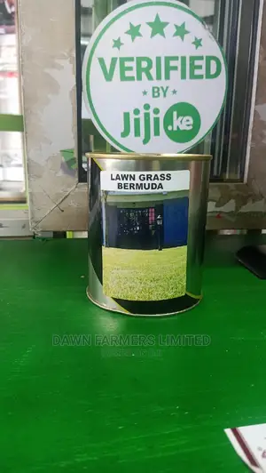 Bermuda Lawn Grass 250gms