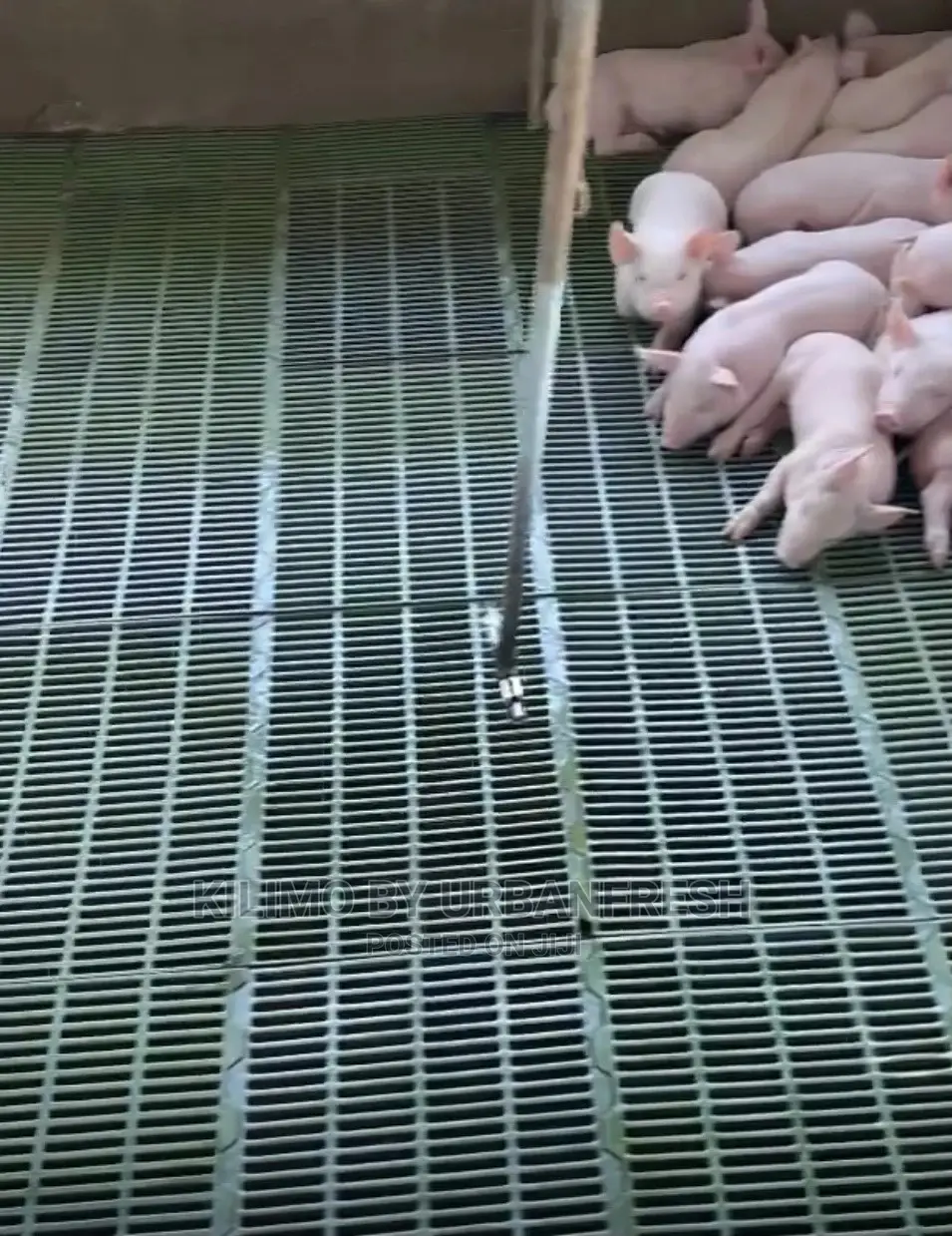 Plastic Flooring Slates