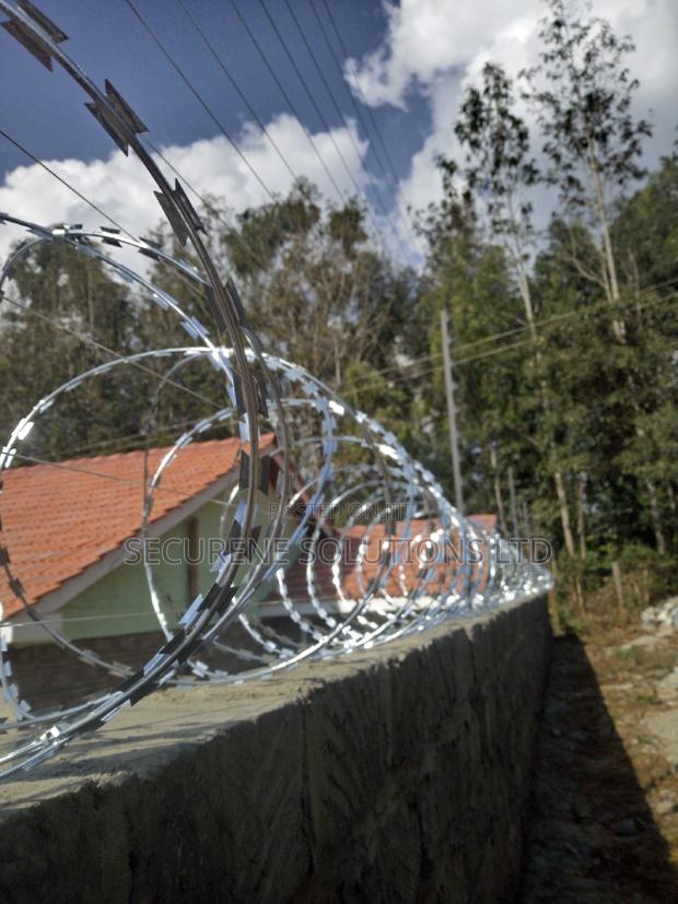 Razor Wire Double Galvanized - thumbnail 2