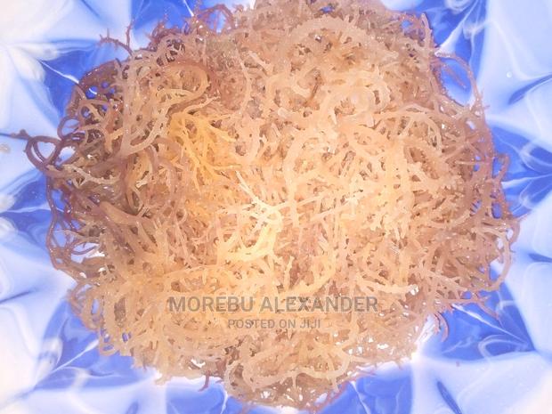 1kg Raw Sea Moss