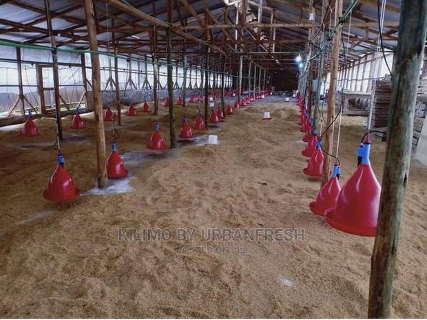 Automatic Bell Poultry Drinker - thumbnail 2