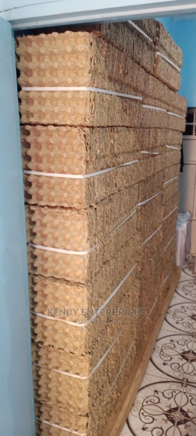 Trays Of Eggs in Thika Farm Machinery & Equipment, Kendy Enterprises