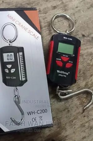 Dutiful 200kgs Hanging Scale/ Crane Scale