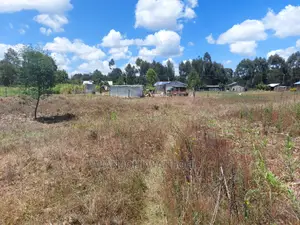 Prime Plots 150 Meters From Highway