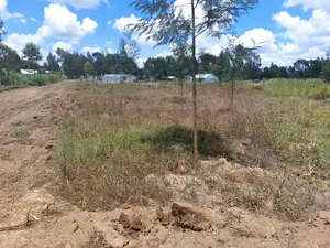 Prime Plots 150 Meters From Highway