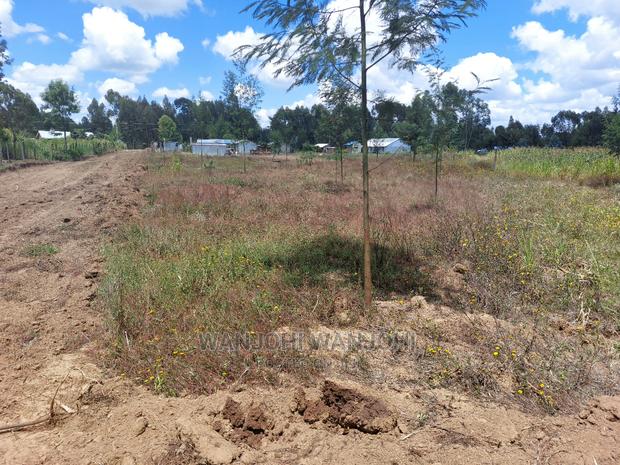Prime Plots 150 Meters From Highway - thumbnail 3