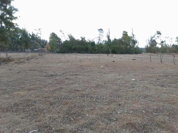Prime Plots in Nyahururu Oljoroorok