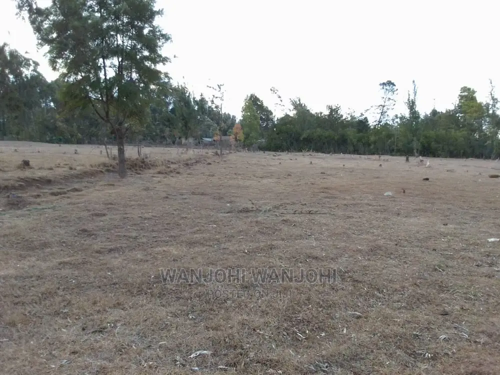 Prime Plots in Nyahururu Oljoroorok
