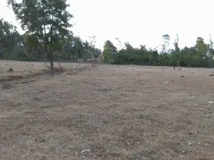 Prime Plots in Nyahururu Oljoroorok