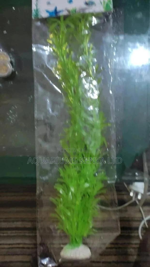 Fitted Long Beautiful Aquarium Plants - main view