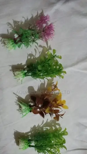 Assorted Colourful Aquarium Plants