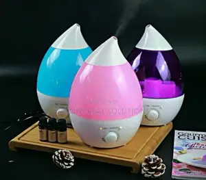Ultrasonic Humidifier(2.4l)