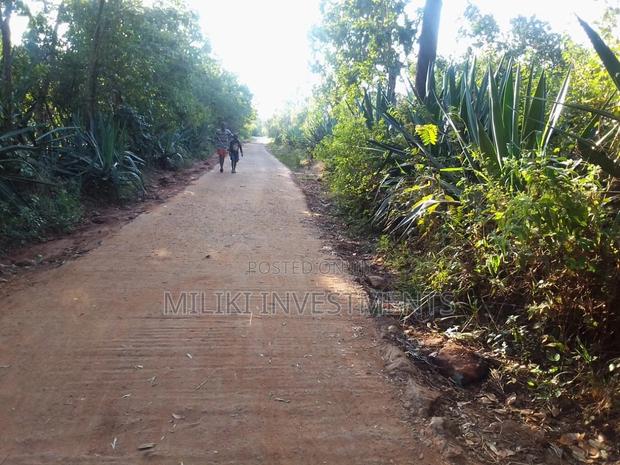 50 By 100 Plots On Sale At Makuyu-kakuzi. - thumbnail 5