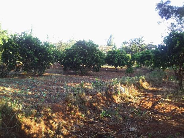 50 By 100 Plots On Sale At Makuyu-kakuzi. - thumbnail 7