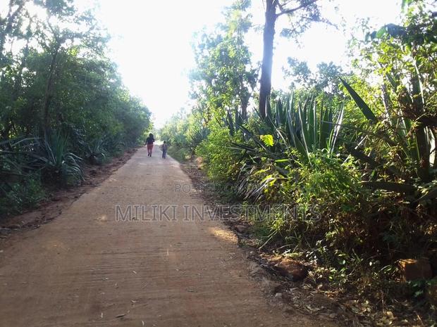 50 By 100 Plots On Sale At Makuyu-kakuzi. - thumbnail 4