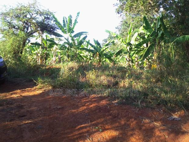 50 By 100 Plots On Sale At Makuyu-kakuzi. - thumbnail 3