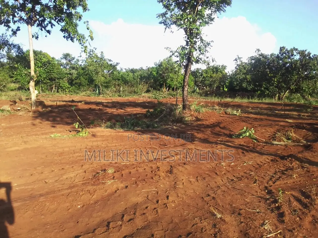 50 By 100 Plots On Sale At Makuyu-kakuzi.