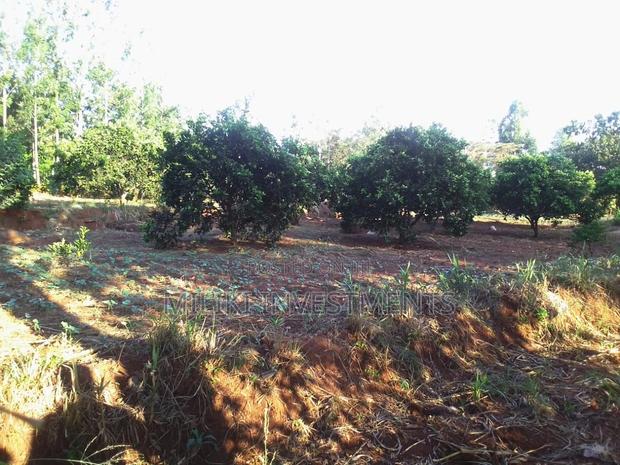 50 By 100 Plots On Sale At Makuyu-kakuzi. - thumbnail 12