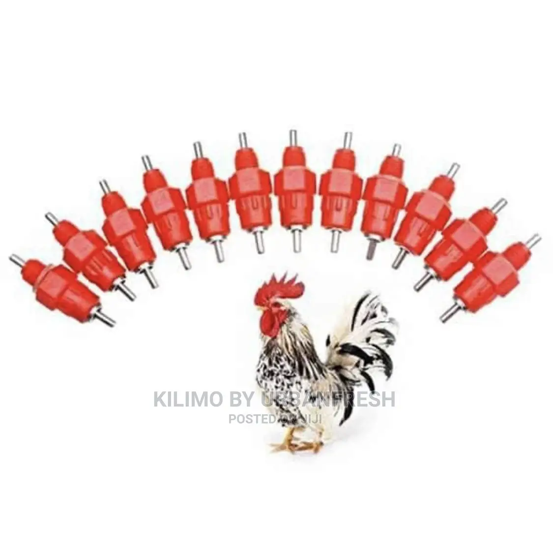 Poultry Nipple Drinker