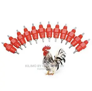 Poultry Nipple Drinker