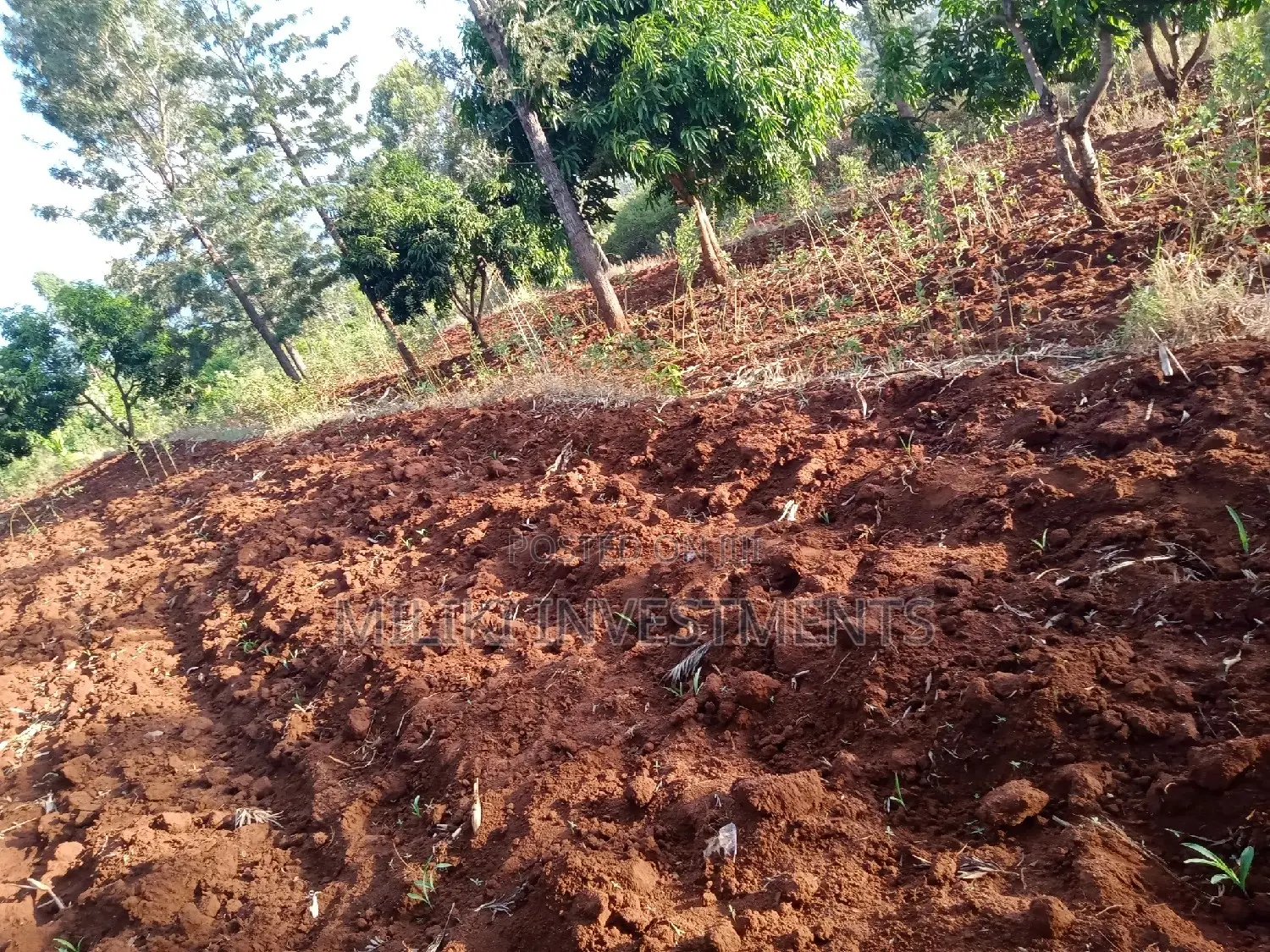 An Acre of Land on Sale at Makuyu.