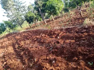 An Acre of Land on Sale at Makuyu.