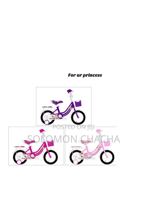Lady Bird Girls Bicycle Size16