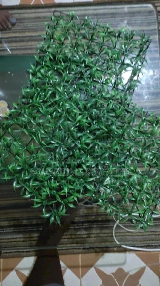 Matt Made of Plastic Plants - main view