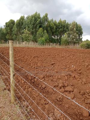 1/8 Plot Kapseret Inder With Title - main view