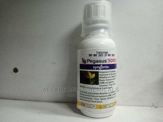 Pegasus 500sc Insecticide 100ml - thumbnail 3