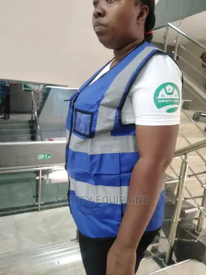 Blue/Reflective Vest