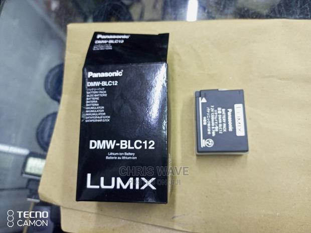 All Lumix Batteries