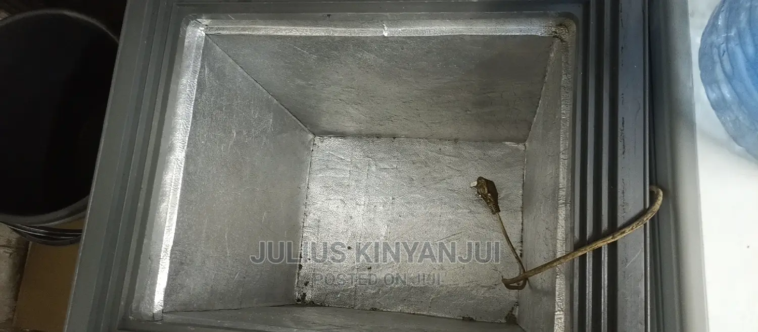 Mini Freezer 100L