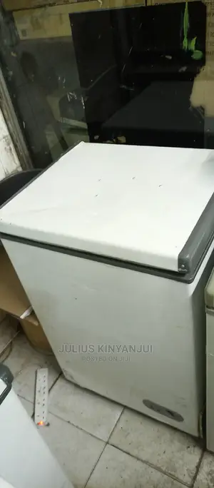 Mini Freezer 100L