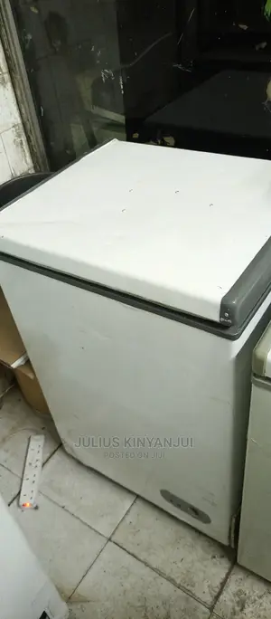 Mini Freezer 100L