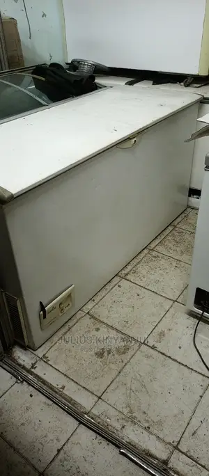 600L Deep Freezer