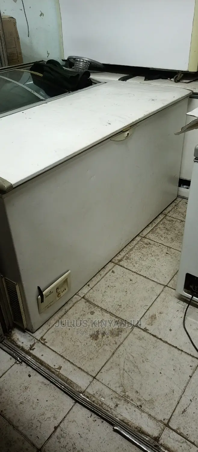 600L Deep Freezer