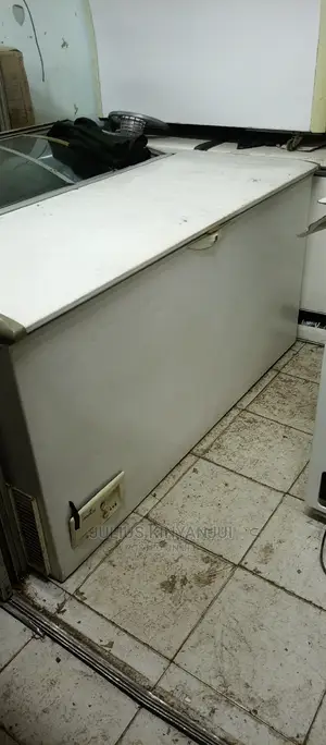 600L Deep Freezer
