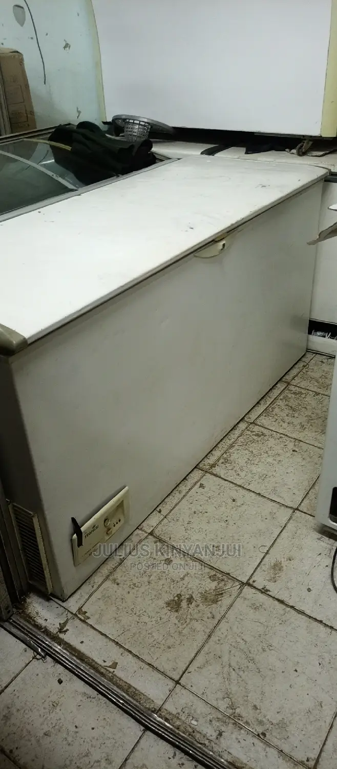 600L Deep Freezer